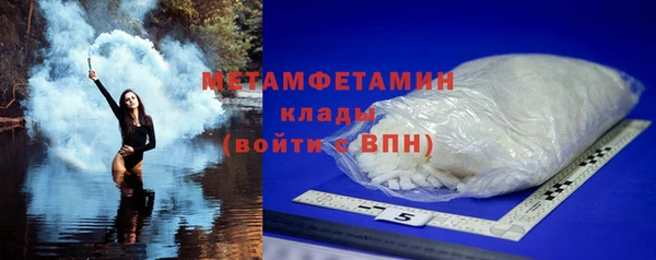 прущие грибы Козловка