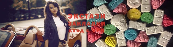 ECSTASY Болотное
