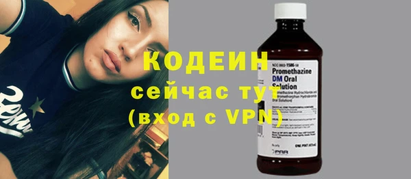 прущие грибы Козловка