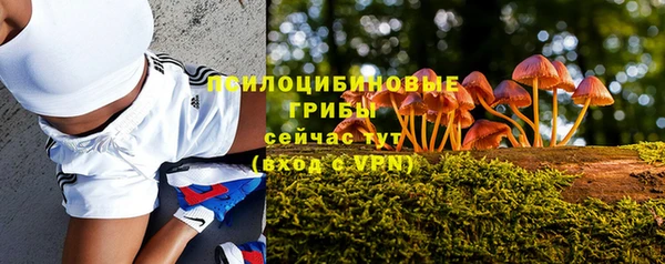 PSILOCYBIN Козельск