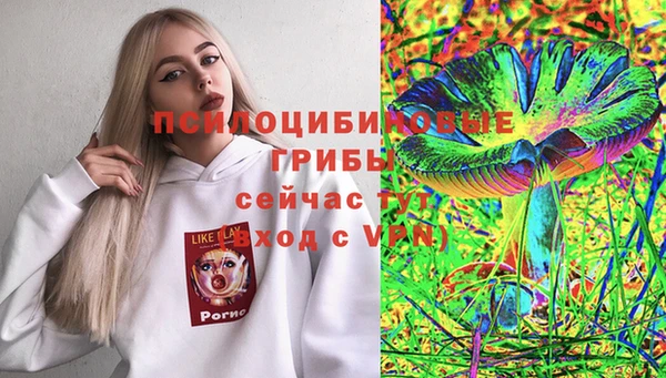ГАЛЛЮЦИНОГЕННЫЕ ГРИБЫ Кодинск