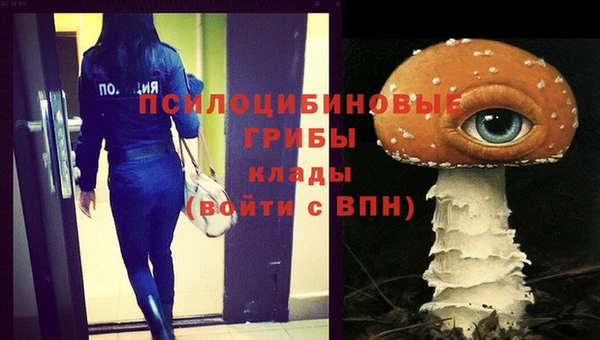 ГАЛЛЮЦИНОГЕННЫЕ ГРИБЫ Кодинск
