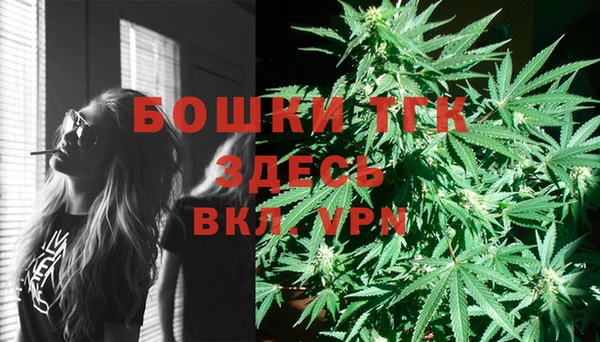 PSILOCYBIN Козельск