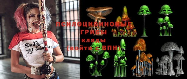 ГАЛЛЮЦИНОГЕННЫЕ ГРИБЫ Кодинск
