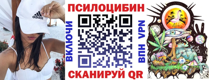 Псилоцибиновые грибы Psilocybe  купить   Киселёвск 